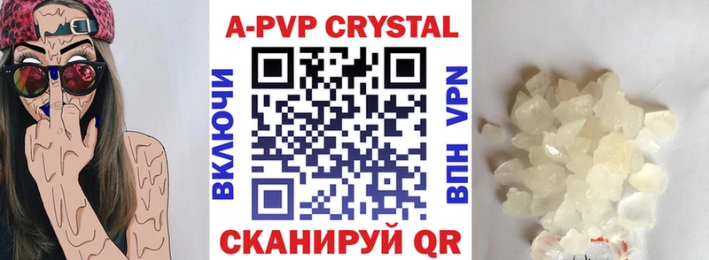 APVP СК Пошехонье
