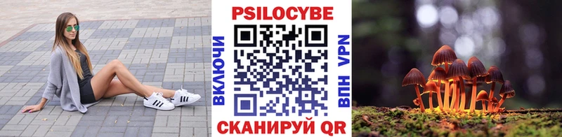 Галлюциногенные грибы прущие грибы Пошехонье