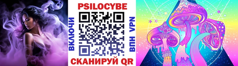 Псилоцибиновые грибы Cubensis Пошехонье